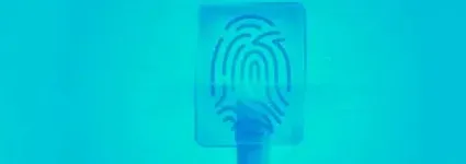 Desafios da cibersegurança